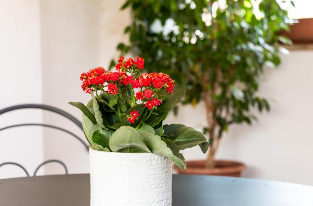 Guest house Torripa Group - Trastevere Rome
